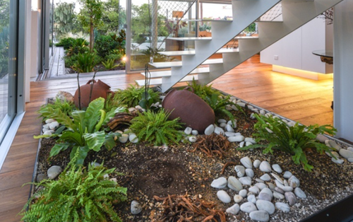  Cách kết hợp sử dụng cây xanh trong thiết kế nhà ở